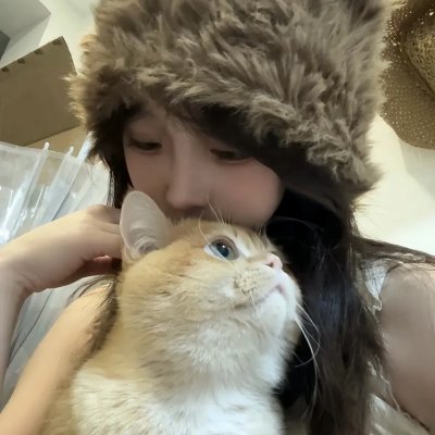 贵妇失踪记